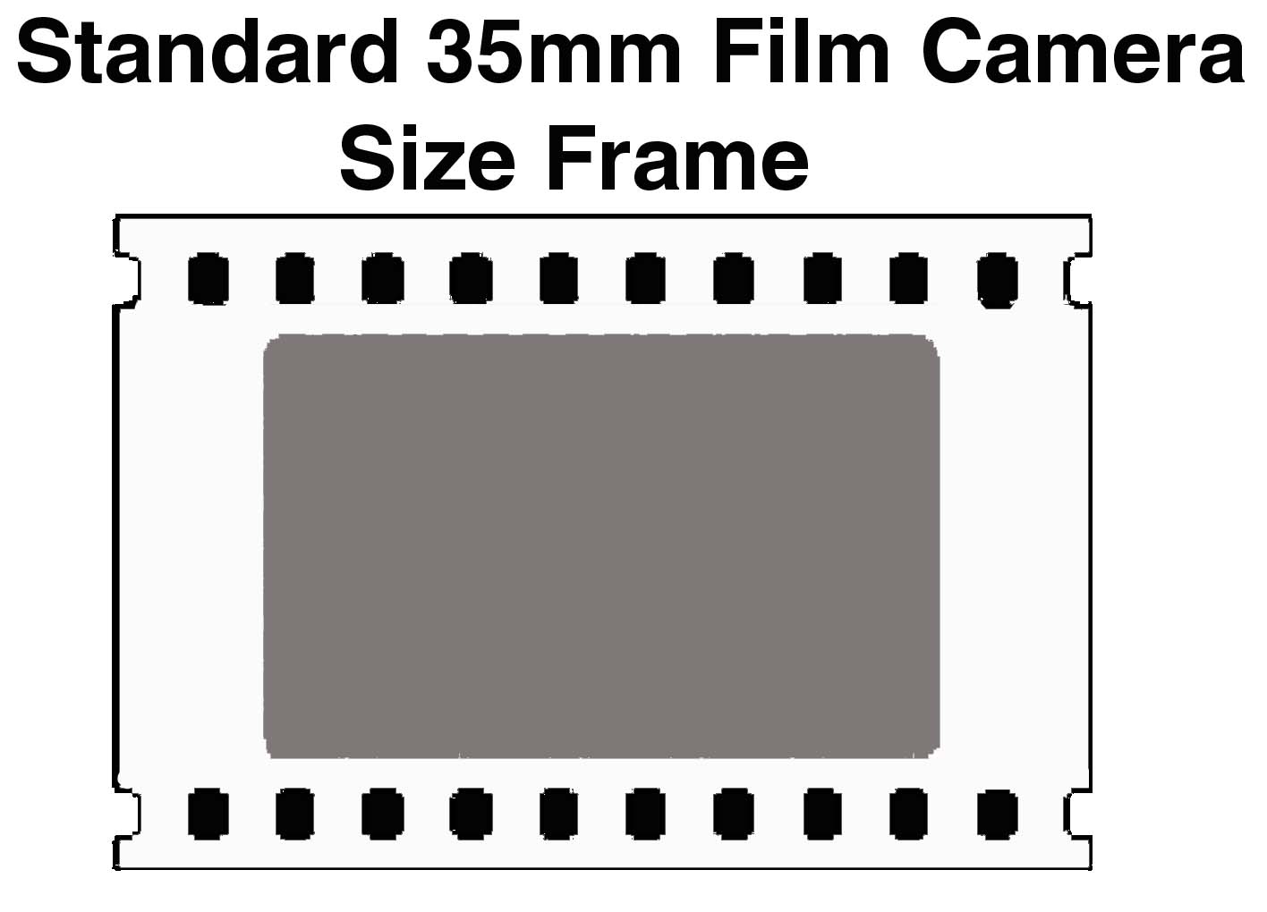 Film Recorder Service